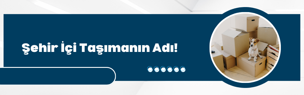 yakuplu nakliye kamyonet