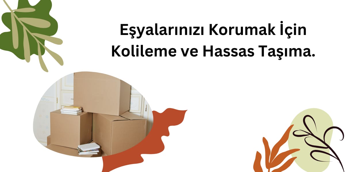 İstanbul İzmir Ambar