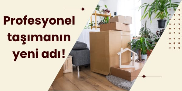 Ankara Kayseri Evden Eve Nakliyat